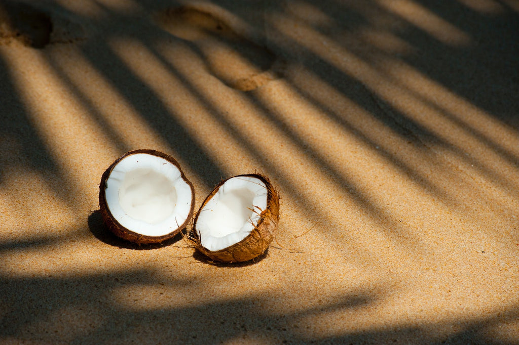 10 Reasons to Love Organic Coconut Wax Candles